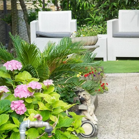 Pereuka ロヴィーゴ